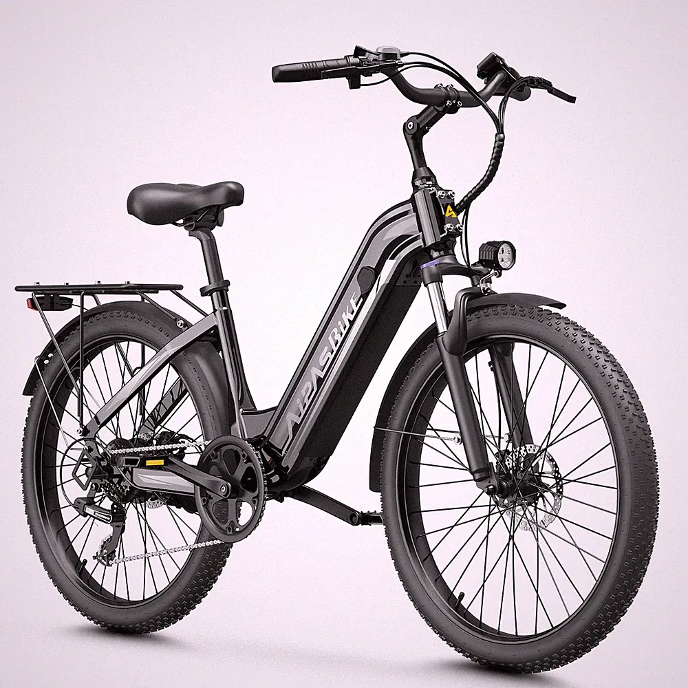 24'' Electric Bike Fat Tires ebike 48V 18Ah 28mph E-Mountain bike Adults Bicycle